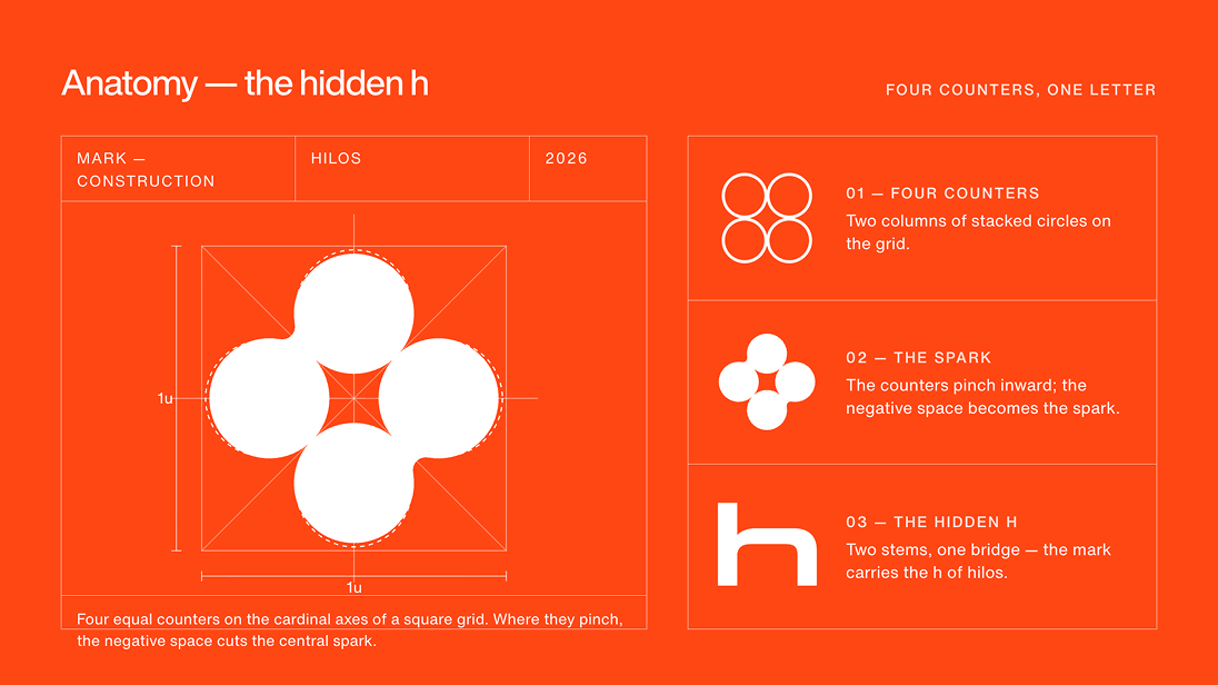 Anatomy — HILOS