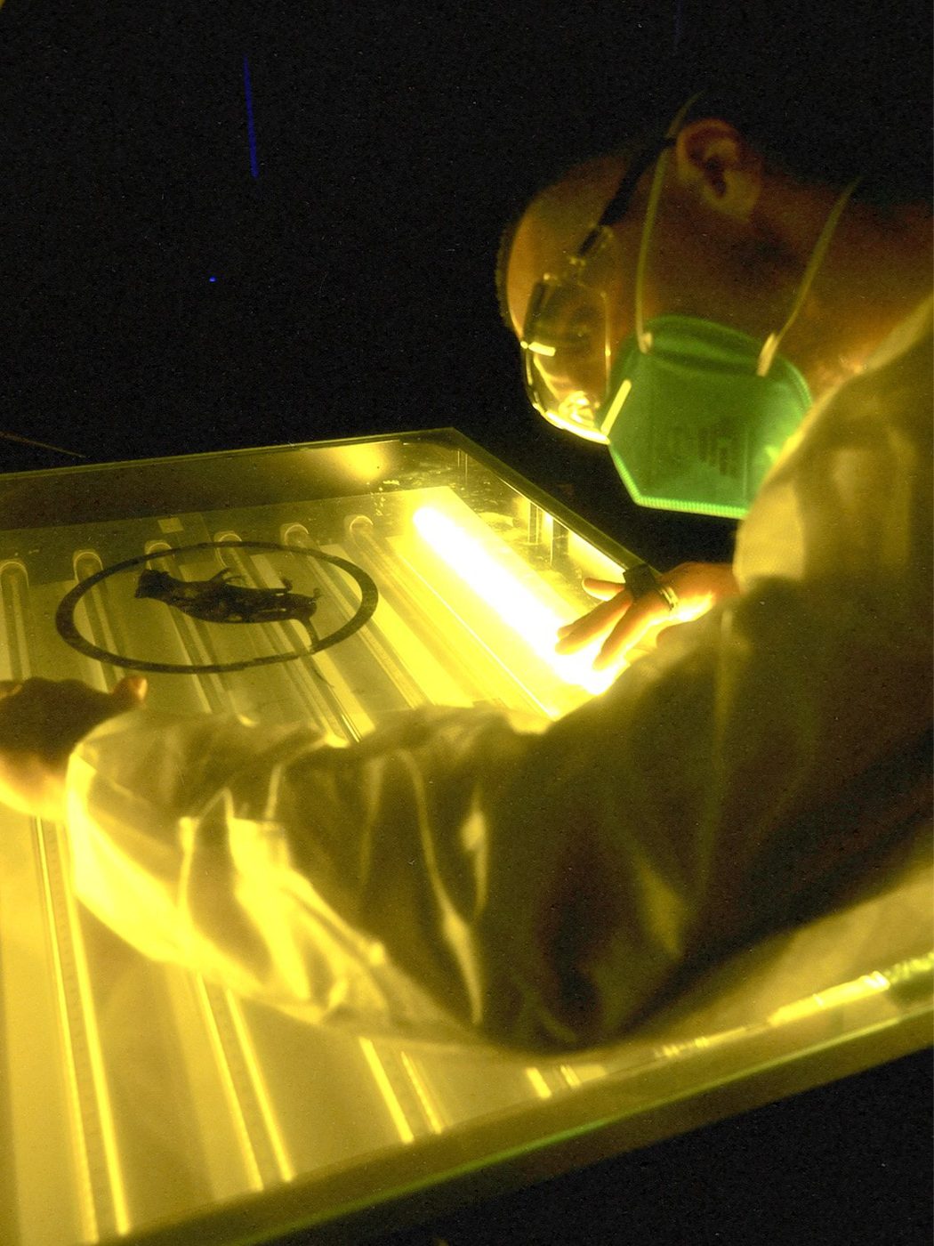 The Dark Room — LAB RATS