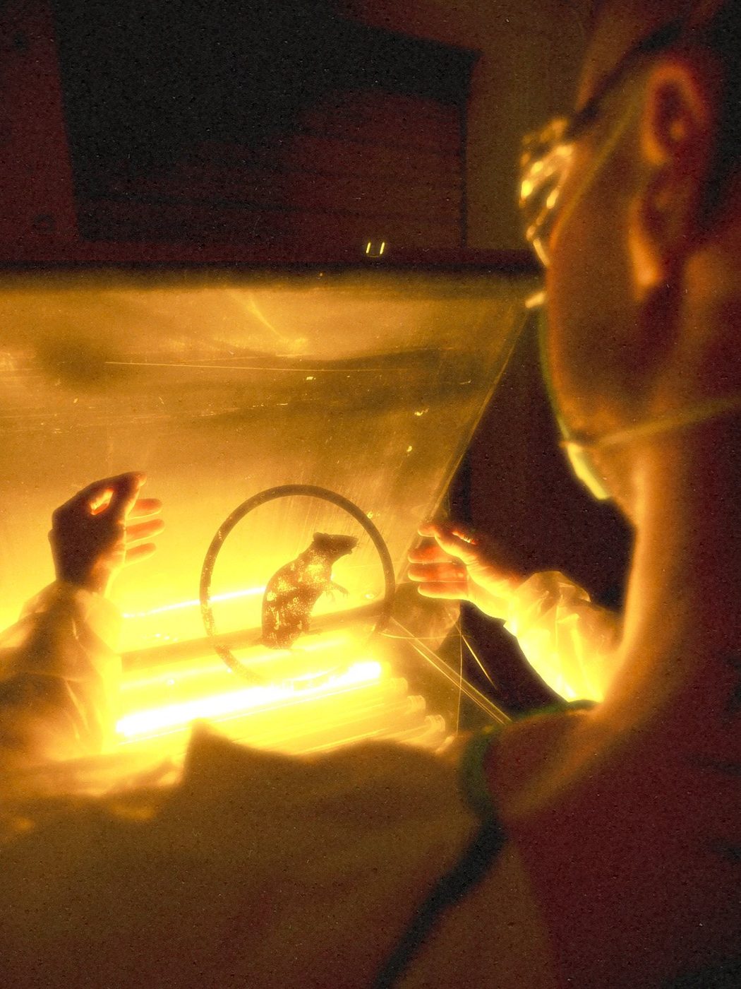 The Dark Room — LAB RATS