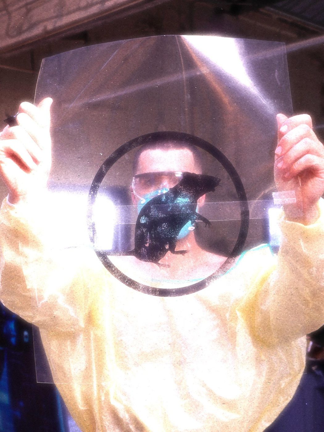 Light room — LAB RATS