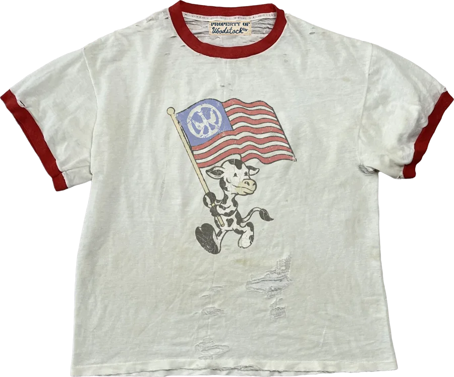 Flag Flyer Mascot Ringer Tee